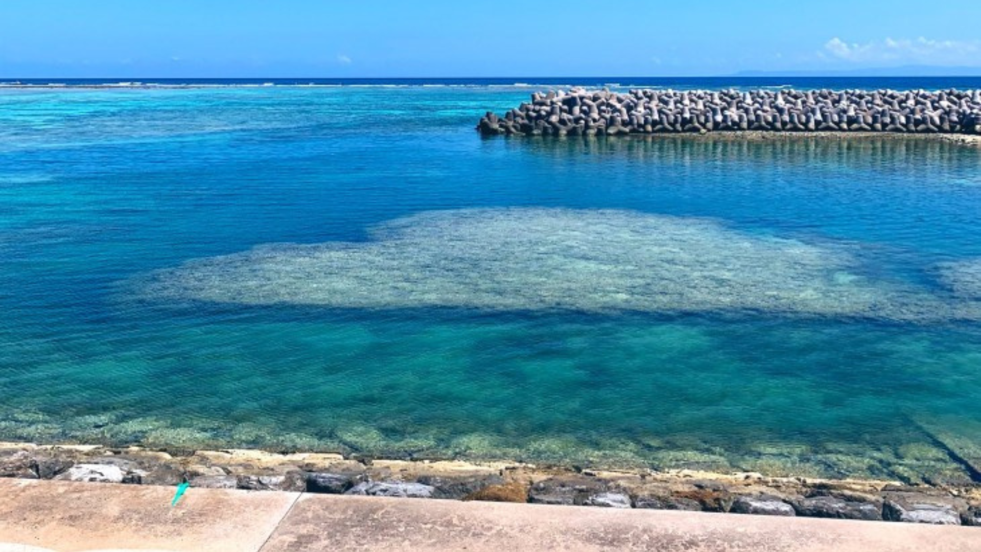 ハート形の珊瑚礁 | 観る | 沖縄の歴史を探検・探究する離島 い