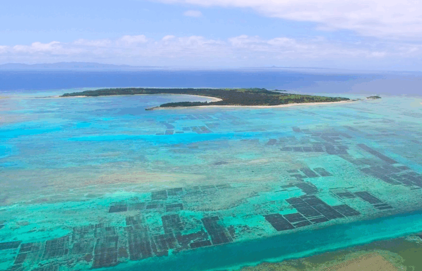 沖縄県伊是名村 ドローン写真 もずく 屋那覇島